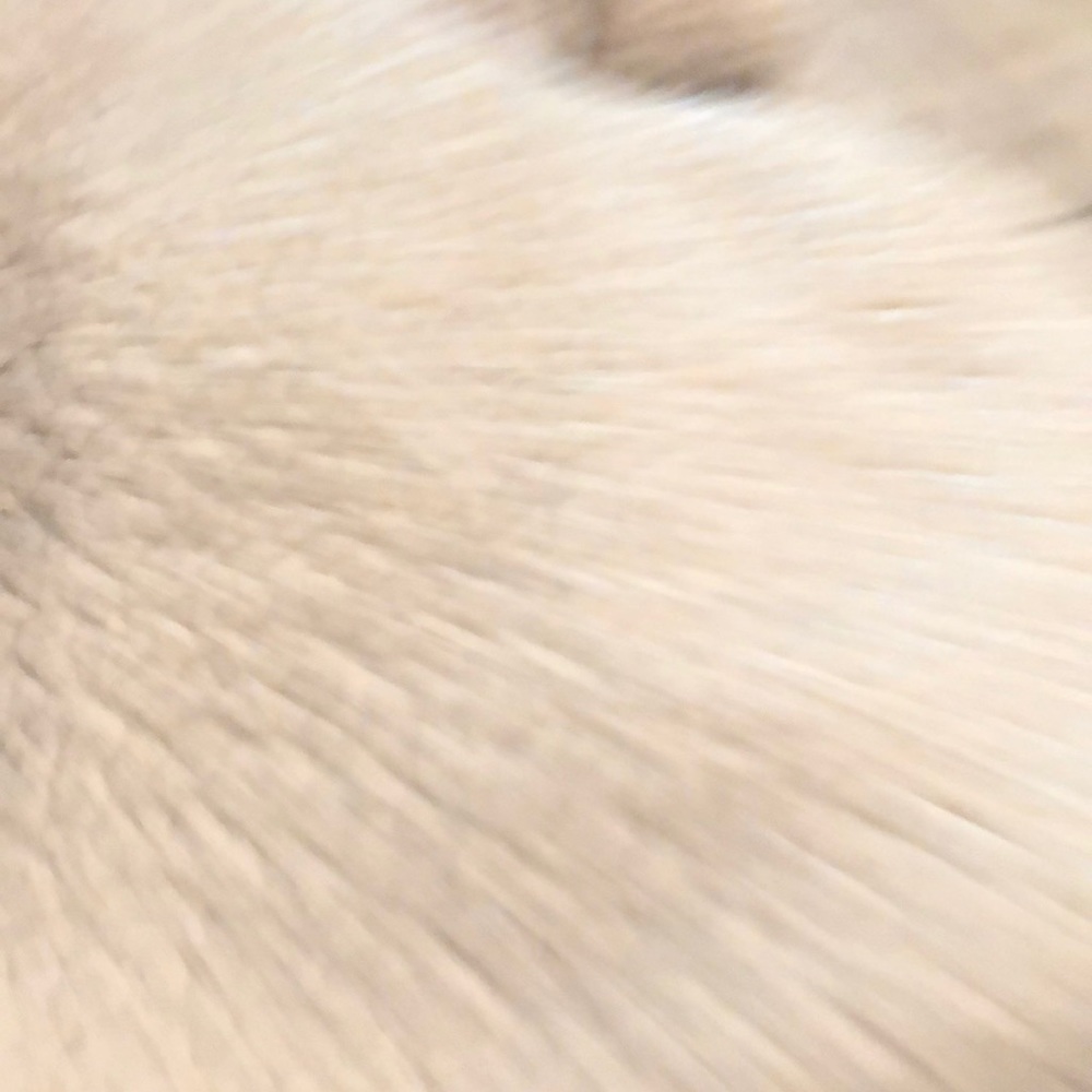 Meet your Posher, Kierra